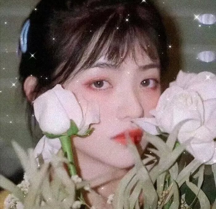 面种与蛋姬